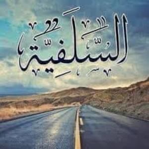 Meet your Posher, Yousef